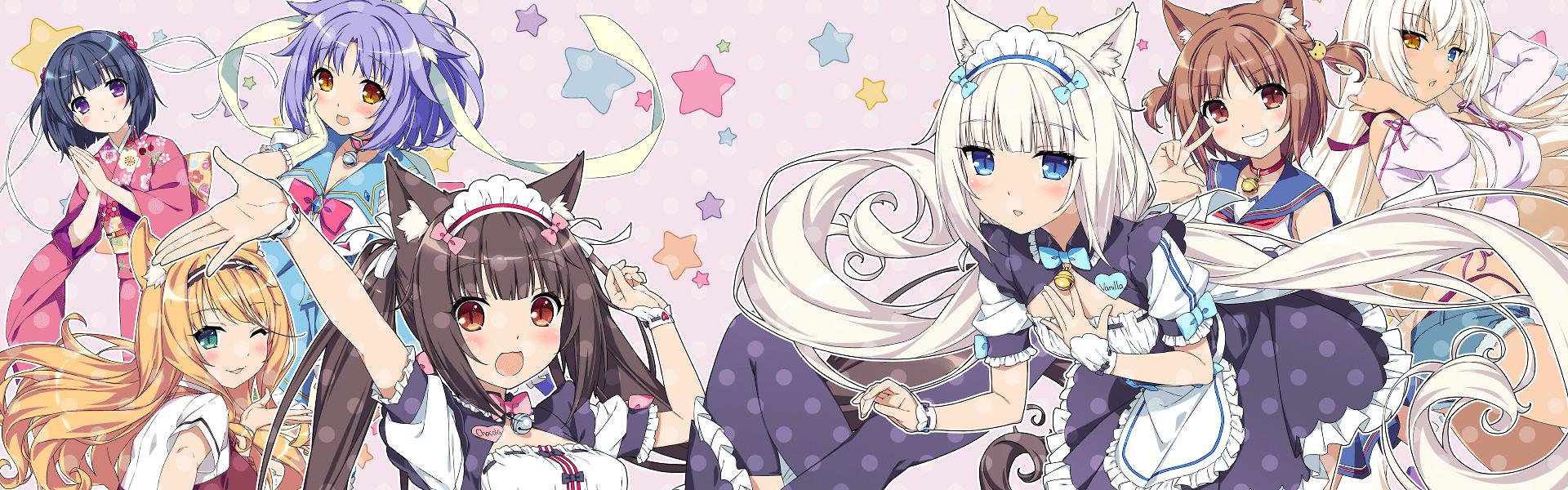 Nekopara banner